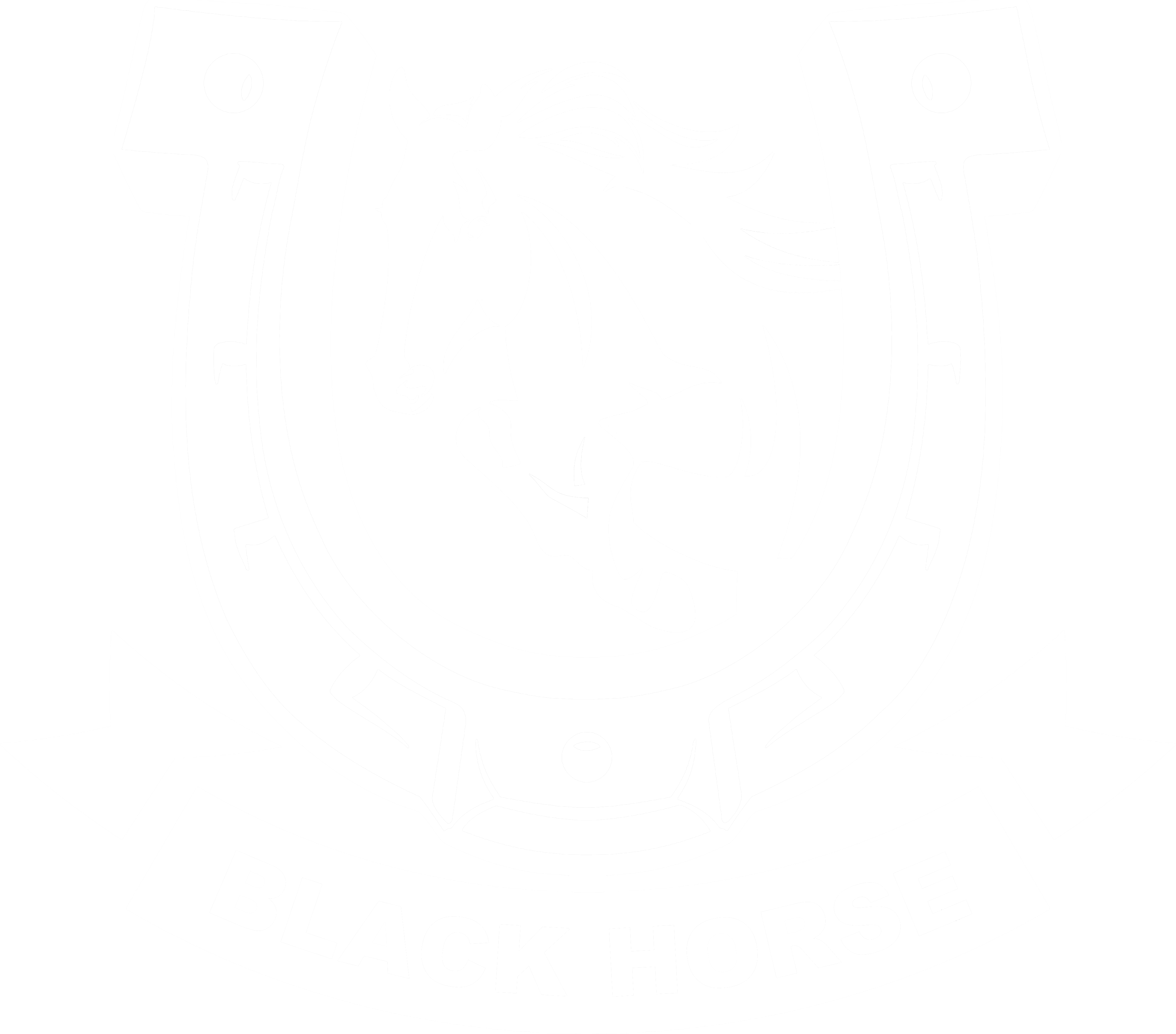Blackhorse NZ